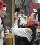 Rezumat la „Fermă…”: măgarul Tarzan a fugit și portocalele au dispărut!