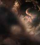 O nouă serie documentară la BBC Earth: Când începe „Nouă luni definitorii”