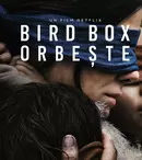GALERIE FOTO. Au apărut trailerul și primele imagini din „Bird Box”, cu Sandra Bullock în rolul principal
