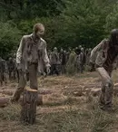 După producțiile „The Walking Dead” și „Fear the Walking Dead”, AMC anunță încă un serial cu zombi