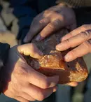 Din 25 iunie, History difuzează un nou serial: „În căutarea chihlimbarului, aurul baltic”