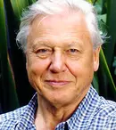 Netflix și BBC fac echipă cu Sir David Attenborough