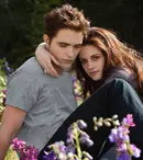 Stephenie Meyer promite încă două volume din seria „Amurg”