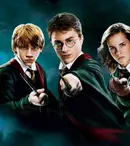Va fi sau nu va fi un serial cu Harry Potter? Ce decizii ia în considerare compania Warner Bros.