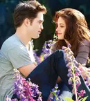 Filme la TV. Un film cu Jean Reno și două pelicule din „Saga Amurg”, în lista programelor difuzate în iulie