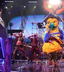 Cine este Papagalul de la „Masked Singer”. INNA: „Aș zice că e un Dorian Popa care a învățat să cânte”