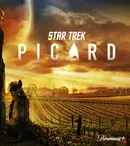 De la „Nouă străini” la „Star Trek: Picard”: 10 seriale bune pe care le puteți vedea la Amazon Prime Video