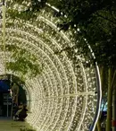 Decor de vis la cununia civilă a Simonei Halep cu Toni Iuruc