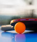 Cum Alegi o Masă de Ping-Pong