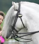 Noi detalii despre starea de sănătate a Prințesei Anne, după ce a suferit o comoție cerebrală. Ce a dezvăluit soțul ei