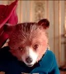 Ursulețul Paddington, tribut emoționant adus reginei Elisabeta a II-a. Mesajul a devenit viral  în timp record
