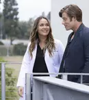 Disney Plus aduce noile episoade din „Anatomia lui Grey”. Când e premiera sezonului 19