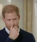Prințul Harry riscă să fie expulzat din SUA. Motivul pentru care i-ar putea fi anulată viza de ședere