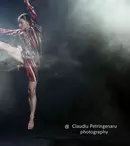 TVR 1 difuzează documentarul „La Bella Figura - Scurte eseuri despre corpuri feminine”. Când e premiera