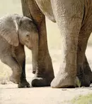 Noutățile lunii ianuarie 2024 la National Geographic și National Geographic Wild