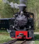 ROventura, 25 mai 2024. Incursiune de neuitat cu Mocănița, pe Valea Vaserului