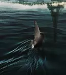 Ce știm despre filmul „Sub Paris”, pe care îl vom putea vedea pe Netflix. Când are loc premiera