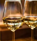 Cele mai cunoscute tipuri de vin de pe piață - tot ce trebuie să știi despre ele și regiunea de unde provin