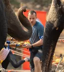 Mane Voicu s-a accidentat la Asia Express 2024. A fost doborât de elefanți. „M-au dat pe jos!”