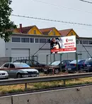 Vino la unul dintre cele mai apreciate service-uri auto din Oradea și beneficiază de o gamă variată de reparații mecanice