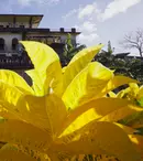 3 serii documentare noi la TV. National Geographic lansează toamna aceasta noi serii captivante pentru toate gusturile