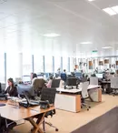 Piața muncii în 2024 – aproape 300.000 de joburi noi, 11 milioane de aplicări înregistrate pe eJobs și 320.000 de candidați noi. Crește semnificativ numărul candidaților cu vârsta cuprinsă între 18 și 24 de ani care vor să se angajeze și dispare sezonalitatea în recrutare