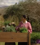 Filmele lunii februarie 2025. Ce pelicule vedem pe Netflix, Max, Disney+ și Skyshowtime