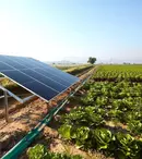 Cum să implementezi soluții solare eficiente în agricultură: alegerea unui partener de încredere