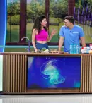 MediCOOL revine cu sezonul 8 la Antena 1. Dr. Mihail Pautov și Carmen Brumă, primele declarații: „Avem subiecte controversate”