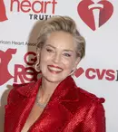 Fără filtre, fără secrete: Cum arată Sharon Stone în realitate, după un zbor obositor spre Austria. Imaginea care i-a cucerit pe fani