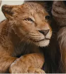 4 filme de neratat în aprilie 2025 pe streaming: thriller, muzical postapocaliptic și „Mufasa: Regele leu” pe Disney+