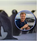 „Secretele pinguinilor”, documentarul prezentat de Bertie Gregory, de Ziua Pământului 2025. Unde îl poți vedea