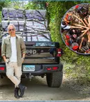 „Tempting Fortune România” începe aventura! Primele imagini cu vedetele care luptă pentru 300.000 de euro în junglă