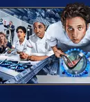 Va avea „The Bear” un sezon 5? Declarațiile care dau speranță fanilor