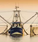 Cum să alegi plasa de pescuit tip Setca potrivită pentru nevoile tale