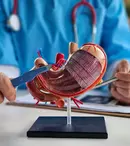 O privire în culisele unei operații de sleeve gastric: tehnici și echipamente moderne
