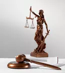 Avocat CEDO: Apărătorii drepturilor fundamentale în fața Curții Europene a Drepturilor Omului
