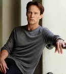 „Dezlegarea misterelor din tablou”, un nou serial la BBC First. Ce spune actorul Stephen Moyer despre personajul său rebel