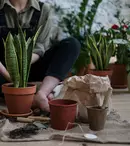 Deconectarea de la digital: 4 hobby-uri care te ajută să combați stresul și să îți regăsești creativitatea