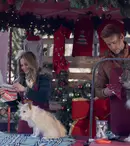 Maratonul „Crăciunul iubirii” continuă la Diva. Ce filme festive sunt programate în perioada 20-26 octombrie