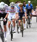 Televiziunile Warner Bros. Discovery aduc noutăți în octombrie. Producția „Animale drogate” și un nou sezon din „Cazuri medicale șocante”, printre titluri