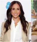 Meghan Markle, privire rară în livingul său din Montecito: detaliile surprinzătoare din casa Ducesei de Sussex