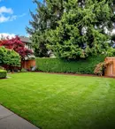 Cum să-ți transformi curtea într-un spațiu practic și modern