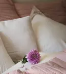 Refugiul de Acasă: Cum Alegem Textilele pentru un Confort Termic și Vizual Desăvârșit