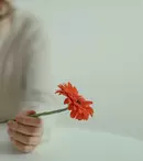 Cardiganul – piesa care se potrivește oricărei ținute