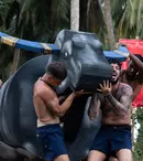 Desafio: Aventura - Ce se întâmplă în episodul din 13 ianuarie. Schimb de replici între Delia Salchievici și Nicolae Lupșor: „Jignești cu zâmbetul pe buze”