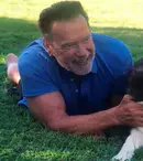 Arnold Schwarzenegger revine! „King Conan”, „Predator” și „Commando 2” sunt în lucru cu starul original. Ce știm până acum despre proiecte