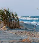 Plaje mai puțin cunoscute din România: descoperă colțuri de rai pe litoralul nostru