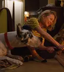 Doamna și dog german-ul: Naomi Watts și Bill Murray, protagoniștii unei drame emoționante pe SkyShowtime