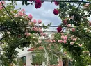 Cum arată vila cu cinci camere, din Snagov, în care locuiește Mirela Vaida: "Îmi zic vecinii că le-am distrus liniștea"